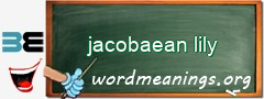 WordMeaning blackboard for jacobaean lily